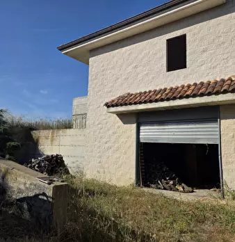 Foto annuncio 11