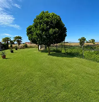 Foto annuncio 60