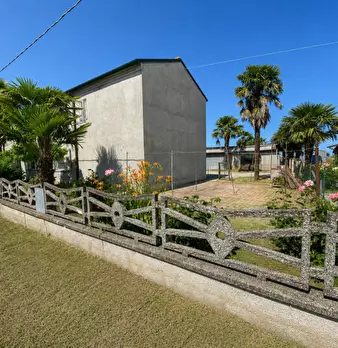 Foto annuncio 65