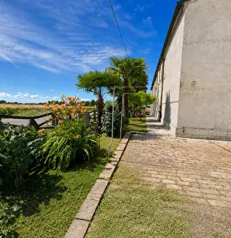Foto annuncio 68