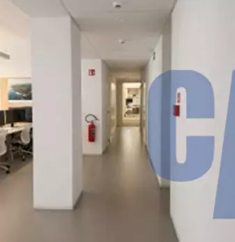 Foto annuncio 11