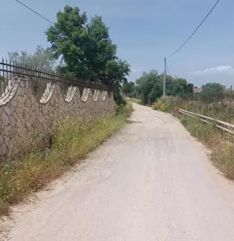 Foto annuncio 5