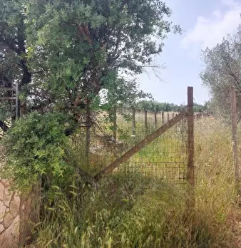 Foto annuncio 6
