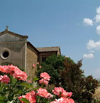 Foto annuncio 9