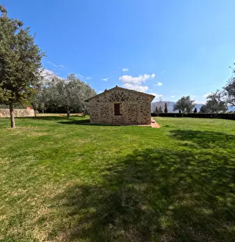 Foto annuncio 32
