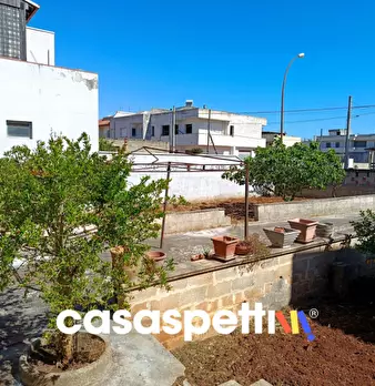 Foto annuncio 5