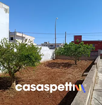 Foto annuncio 6