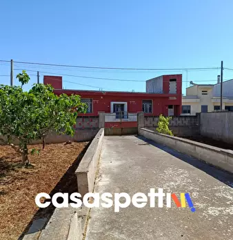 Foto annuncio 7