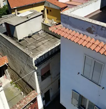 Foto annuncio 30