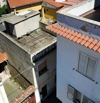 Foto annuncio 31