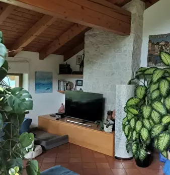 Foto annuncio 8