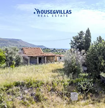 Foto annuncio 9