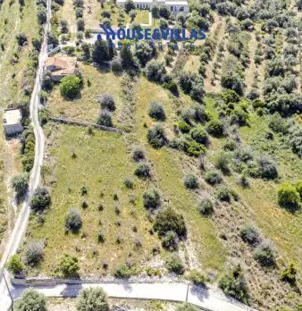 Foto annuncio 14