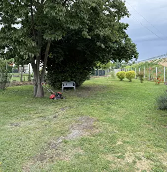 Foto annuncio 5
