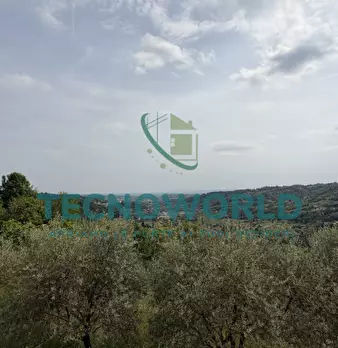 Foto annuncio 14