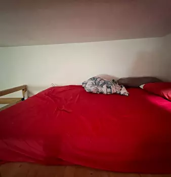 Foto annuncio 9