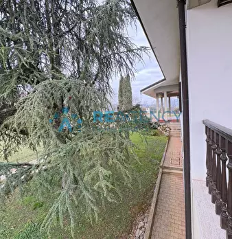 Foto annuncio 14