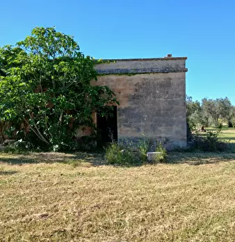 Foto annuncio 1
