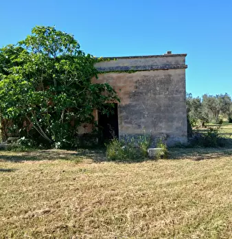 Foto annuncio 2