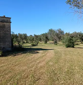 Foto annuncio 3
