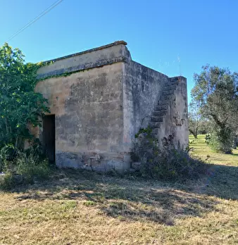 Foto annuncio 12