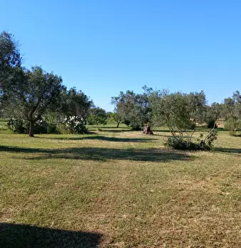 Foto annuncio 13