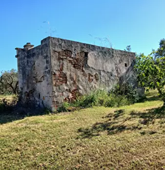 Foto annuncio 14