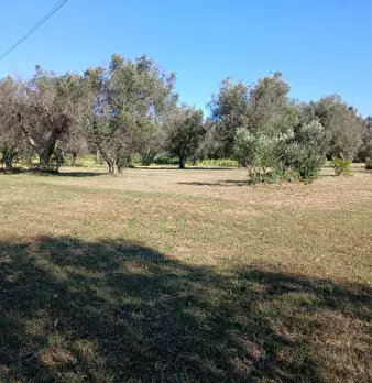 Foto annuncio 16