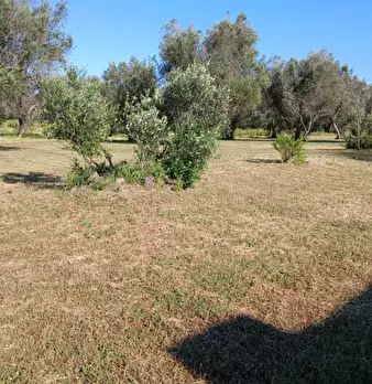 Foto annuncio 17