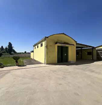 Foto annuncio 25
