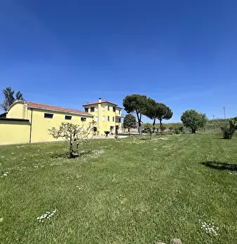 Foto annuncio 36