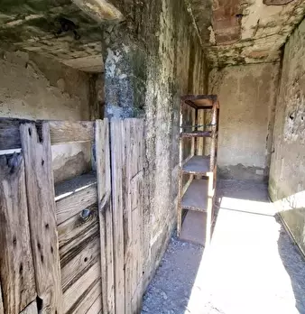 Foto annuncio 11