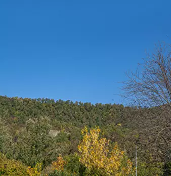 Foto annuncio 64