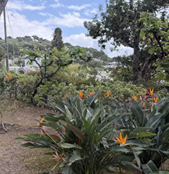 Foto annuncio 2