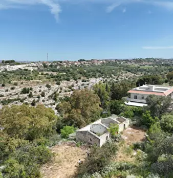 Foto annuncio 6