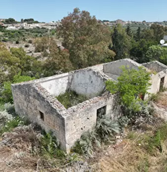 Foto annuncio 11