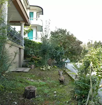Foto annuncio 19
