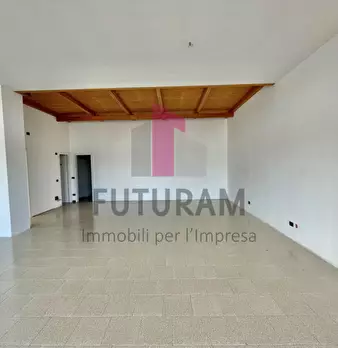 Foto annuncio 6