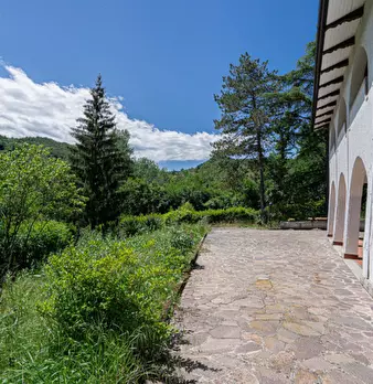 Foto annuncio 67
