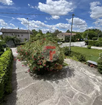 Foto annuncio 19