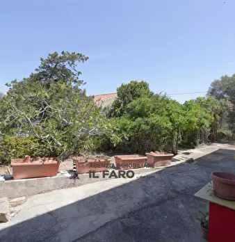 Foto annuncio 47