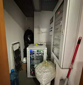 Foto annuncio 11