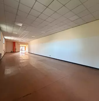 Foto annuncio 5