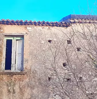 Foto annuncio 7