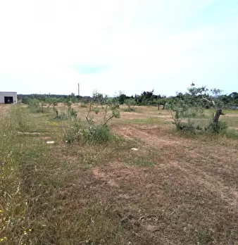 Foto annuncio 2