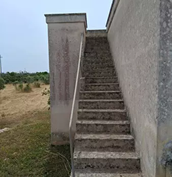 Foto annuncio 7