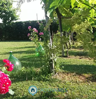 Foto annuncio 1