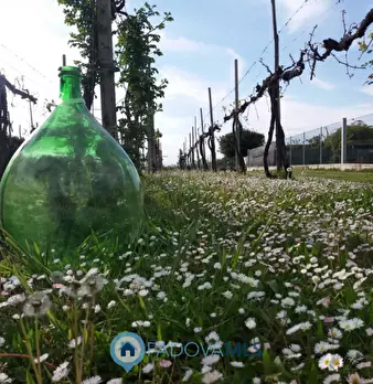 Foto annuncio 2
