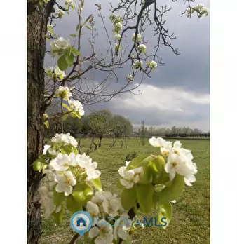 Foto annuncio 6