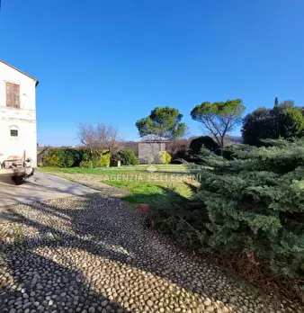 Foto annuncio 11